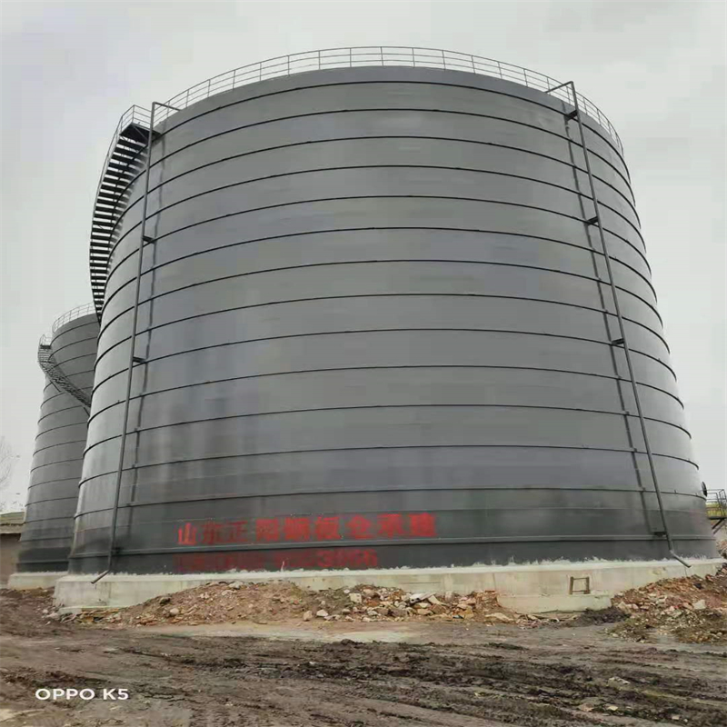 番阳镇3万吨大型钢板库